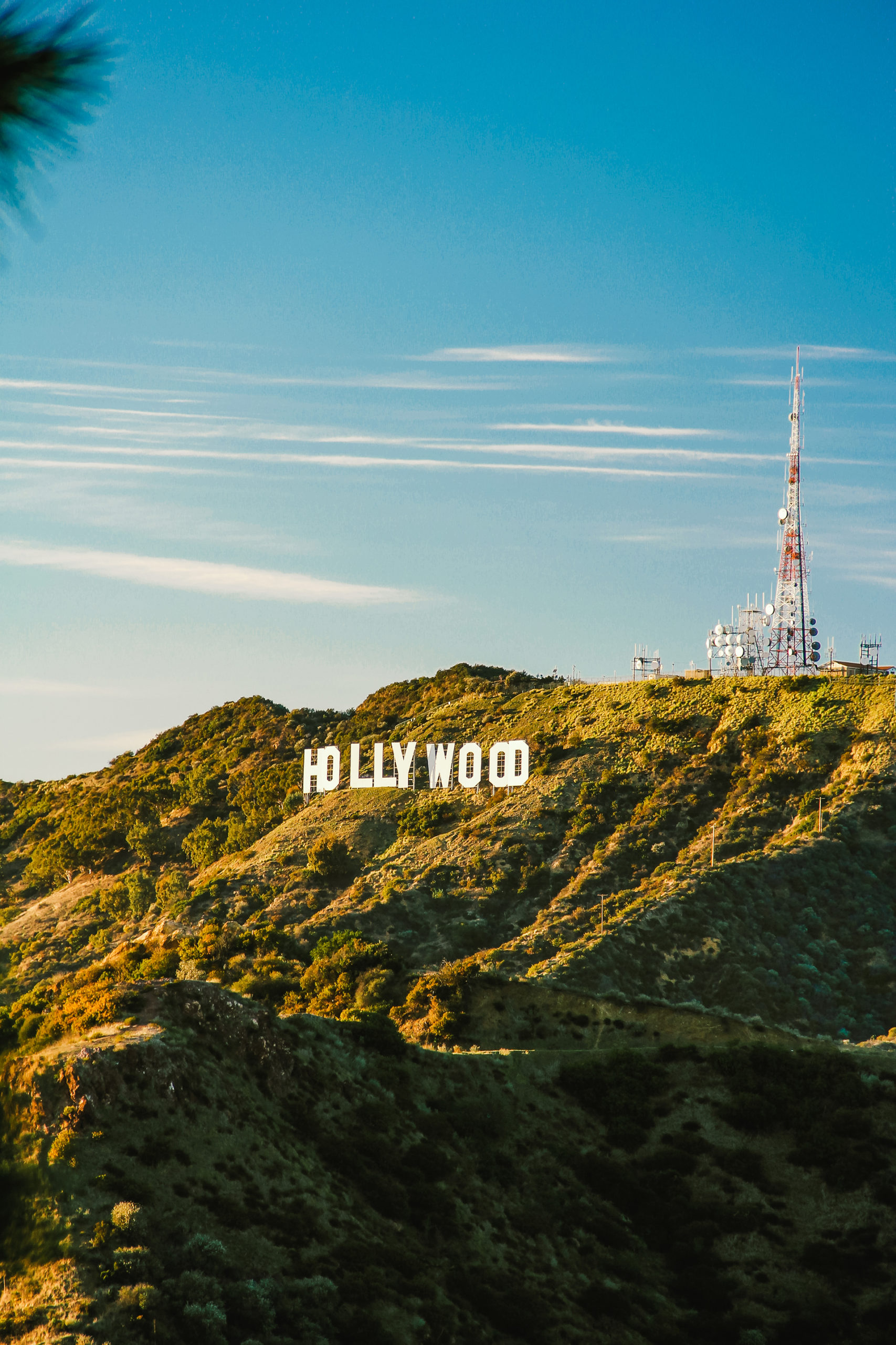 a view of the iconic Hollywood sign