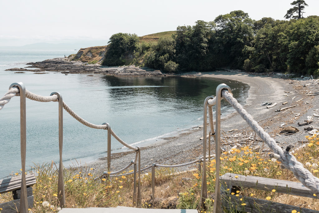 the rocky coastline of San Juan Island, Washington with yellow flowers blooming in the foreground